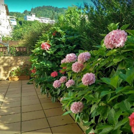 Апартаменты Ondarreta Beach & Terrace Сан-Себастьян Экстерьер фото